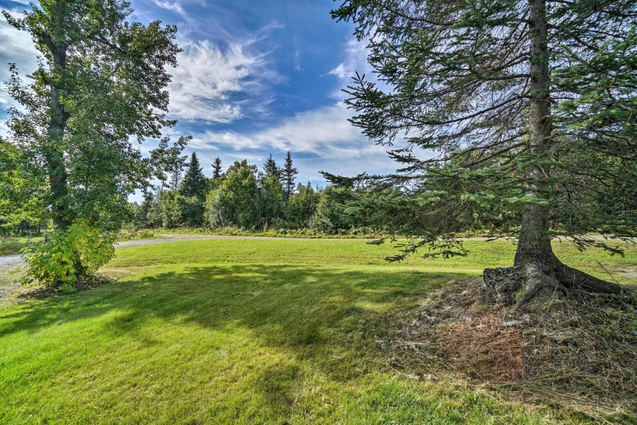 Homer Hideaway On Fritz Creekside - Pets Welcome Exterior foto